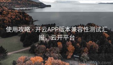 使用攻略 - 开云APP版本兼容性测试汇报，云开平台
