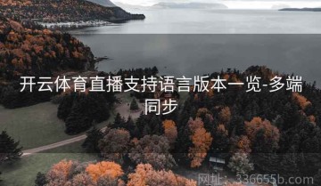 开云体育直播支持语言版本一览-多端同步