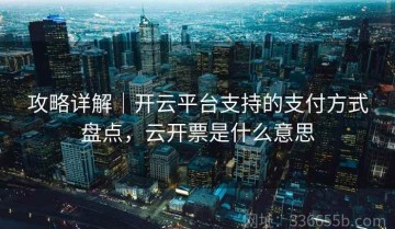攻略详解｜开云平台支持的支付方式盘点，云开票是什么意思