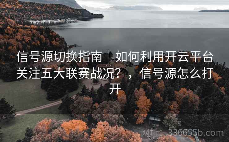 信号源切换指南｜如何利用开云平台关注五大联赛战况？，信号源怎么打开
