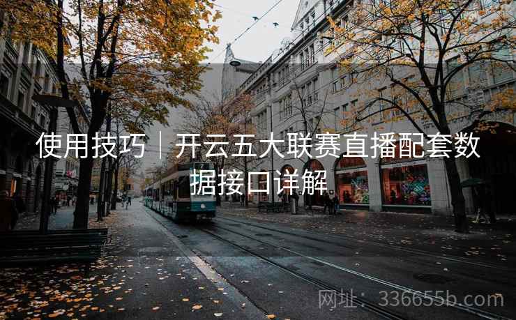 使用技巧｜开云五大联赛直播配套数据接口详解