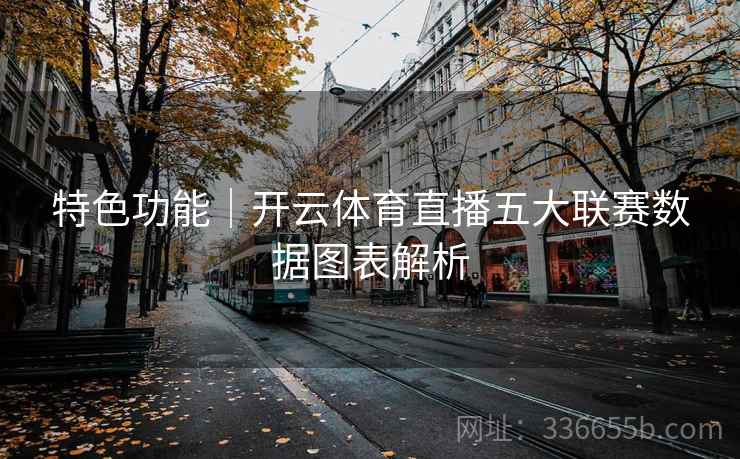 特色功能｜开云体育直播五大联赛数据图表解析