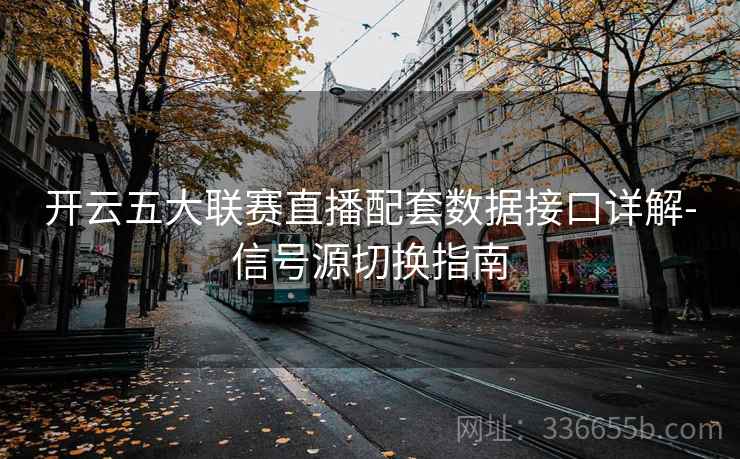 开云五大联赛直播配套数据接口详解-信号源切换指南